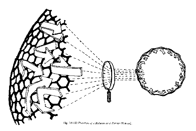 Figure 19:  Function of a Balloon as a Porous Network