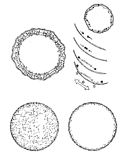 Figure 20:  Chordal Ricochet Pattern in Stretch Action of a Balloon Net