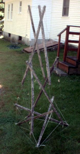 side view of garden-stake-and-nylon-twine tensegrity bean teepee on grass