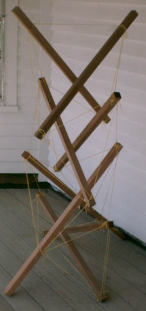 photo of a the second x-module teepee/trellis